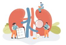 Ki az a nefrológus? nefrológus