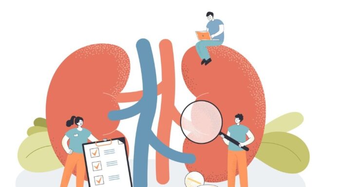 Ki az a nefrológus? nefrológus